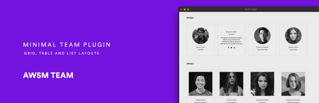 WordPress Team Manager Plugin